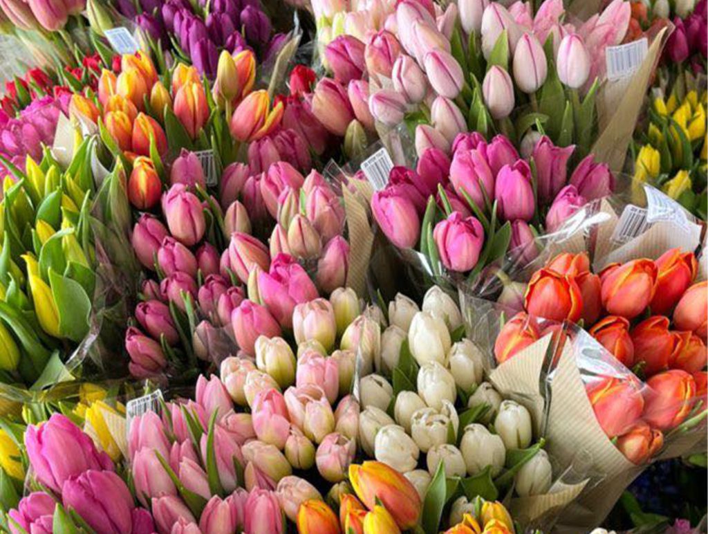 The-Kirks-Flowers-1.jpg